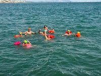 IMG-20260810-WA0011_1