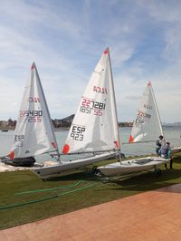 IMG-20260926-WA0008